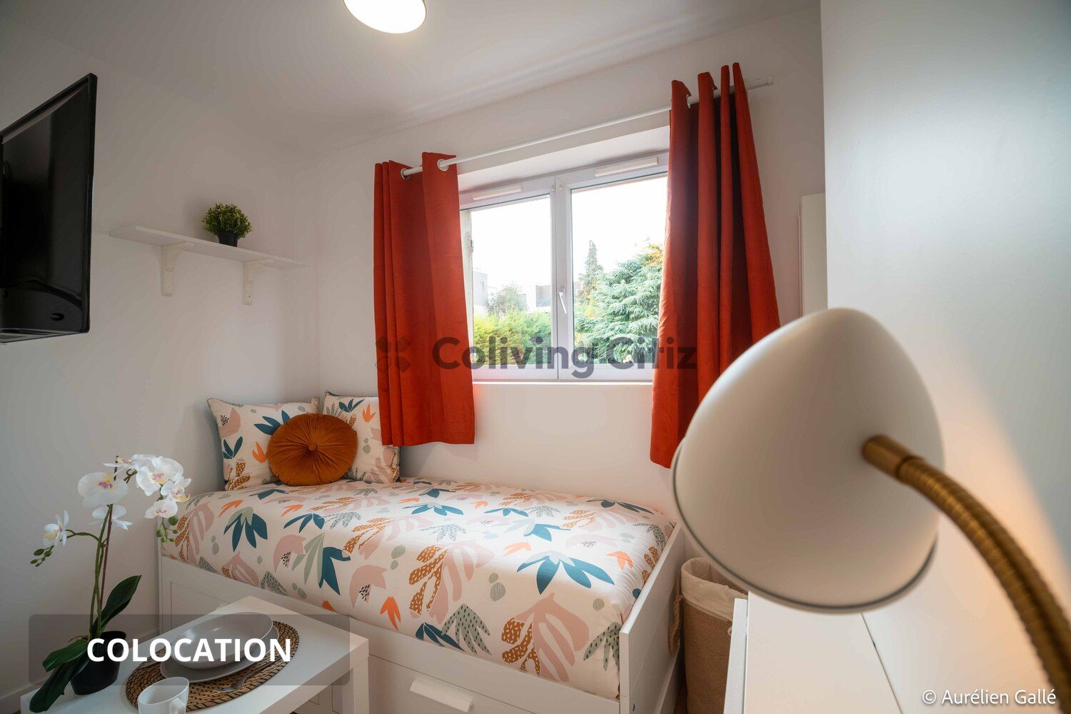 Property view 5